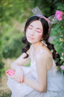 神犬奇兵在线观看全集免费高清